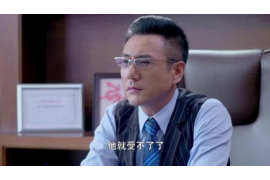 沅江为什么选择专业追讨公司来处理您的债务纠纷？